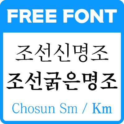 대표