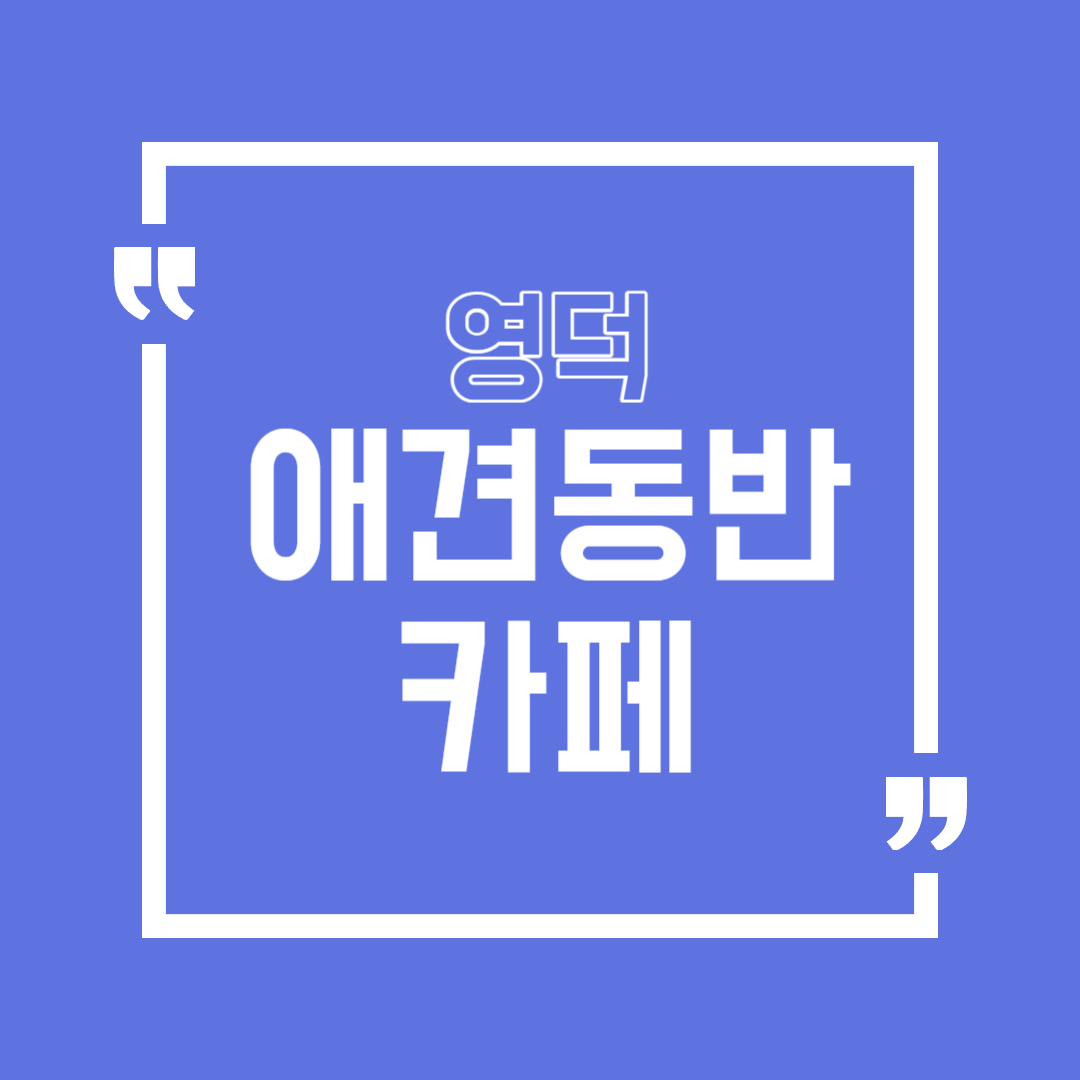 영덕 애견동반 카페