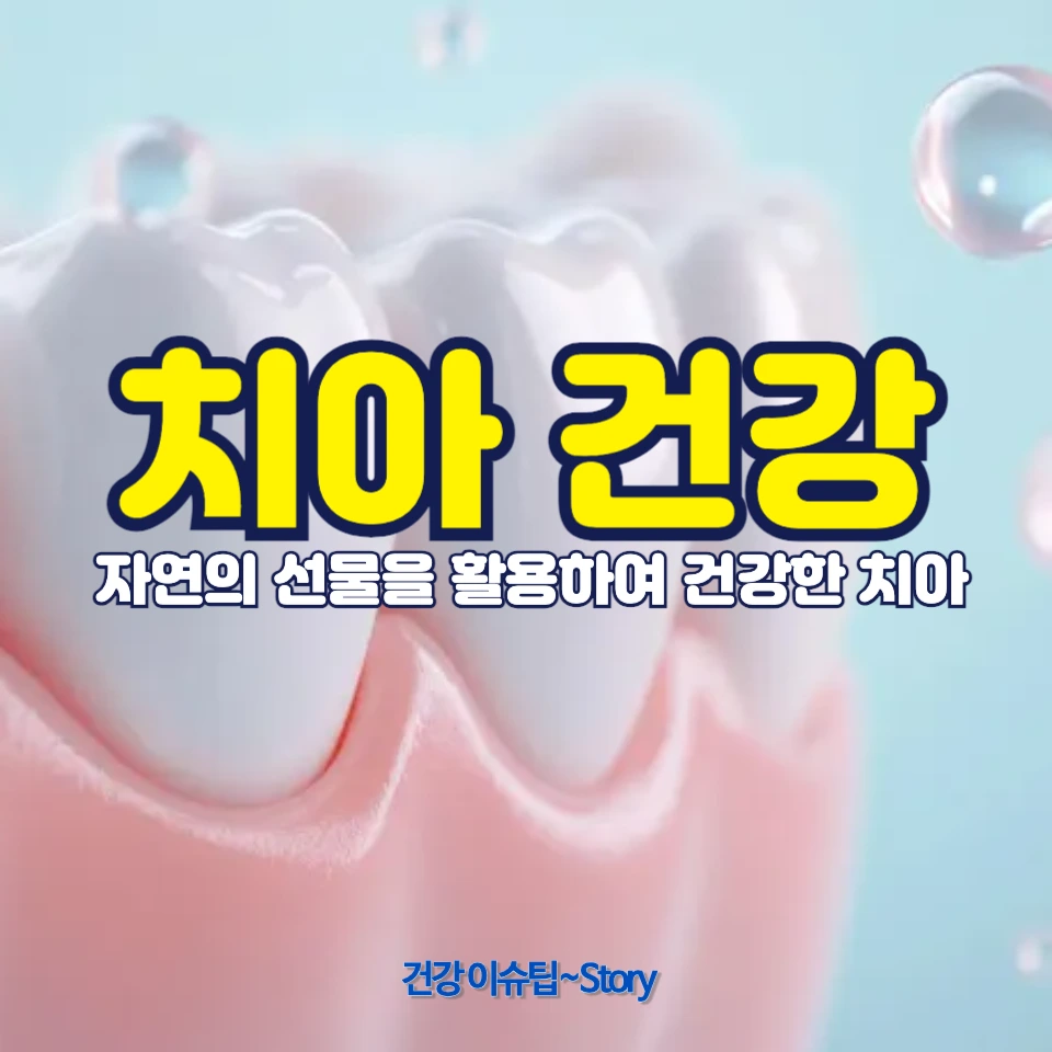 치아 건강을 위한 필수 음식