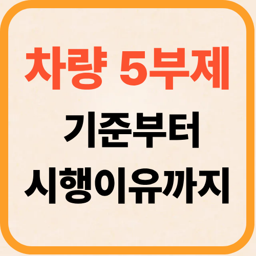 차량 5부제 뜻 무엇인가 기준부터 시행 이유까지 완벽 정리