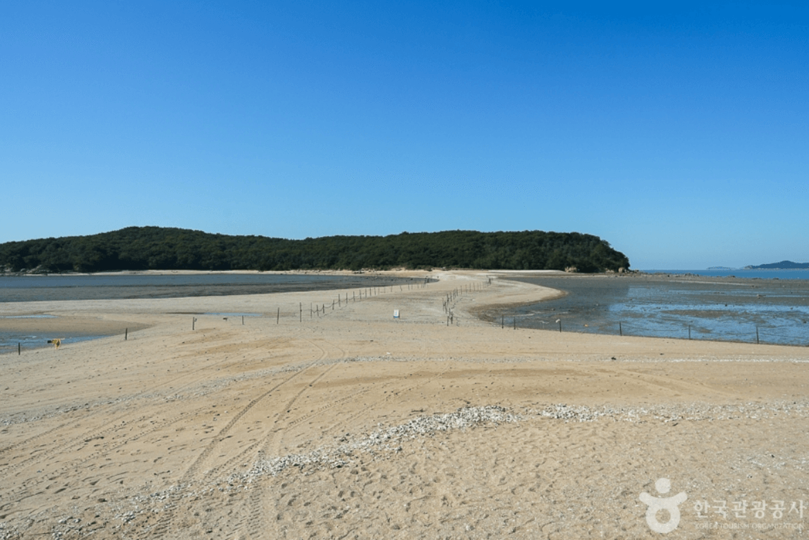 실미해수욕장 (중구)