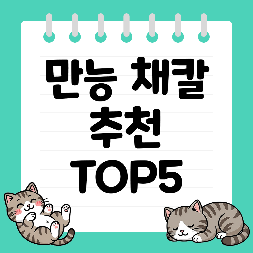 요리 초보도 안전하게 사용할 수 있는 만능 채칼 추천 순위 TOP5