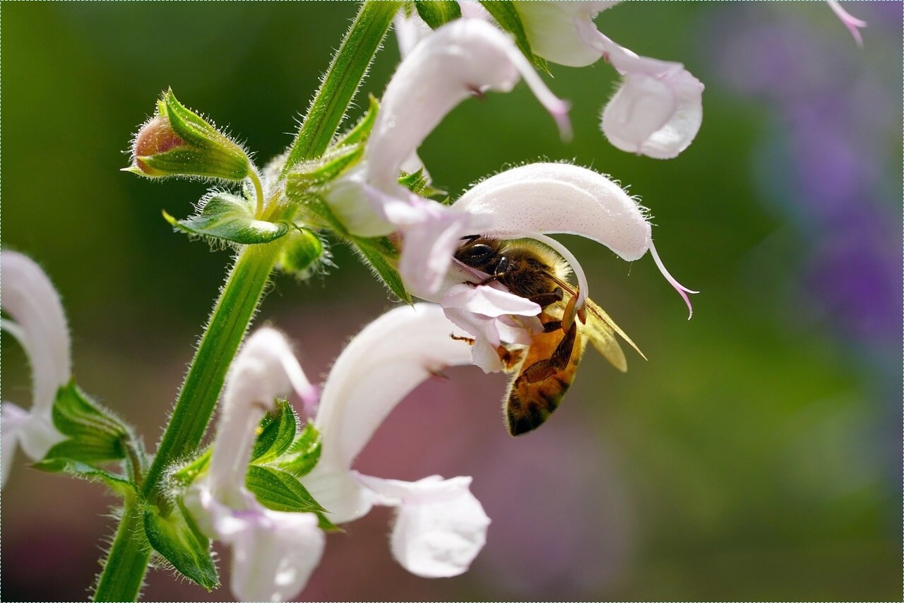 은행 적금 이자 높은곳