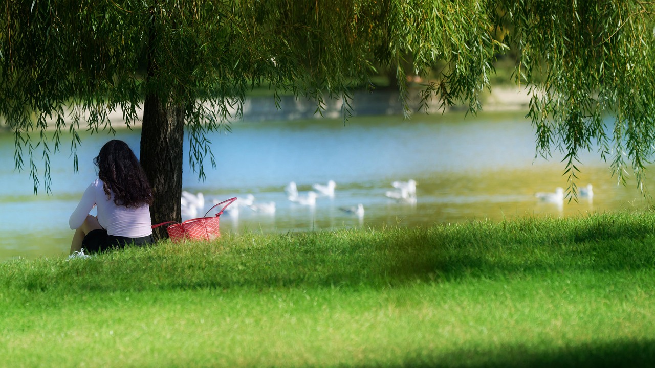 잔잔한 호숫가 풍경 관련 사진