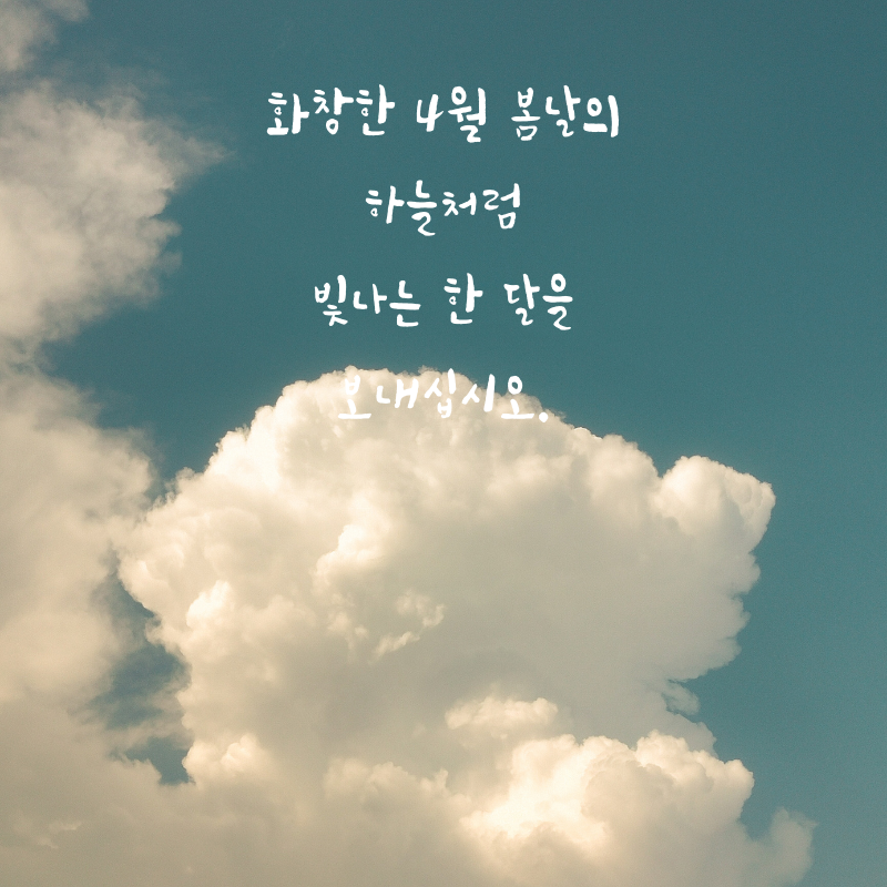 4월 인사말 문구 이미지 모음집
