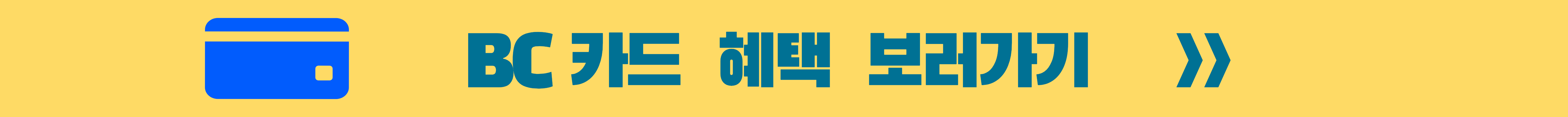 K패스카드