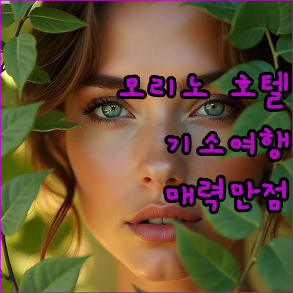 모리노 호텔에서 잊지 못할 기소 여행