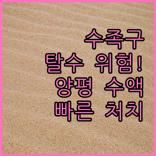 수족구 탈수 증상 예방과 양평군 병원..