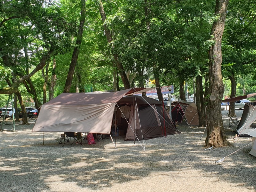 충북 금관숲캠핑장 소개