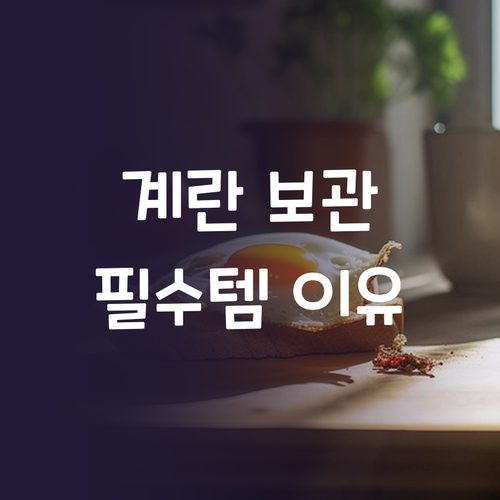 계란 트레이, 왜 써야 할까? 냉장고..