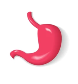 위암 수술후 회복기간