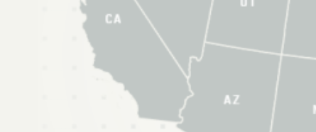 2024-미국-대통령-선거-실시간-개표-사이트