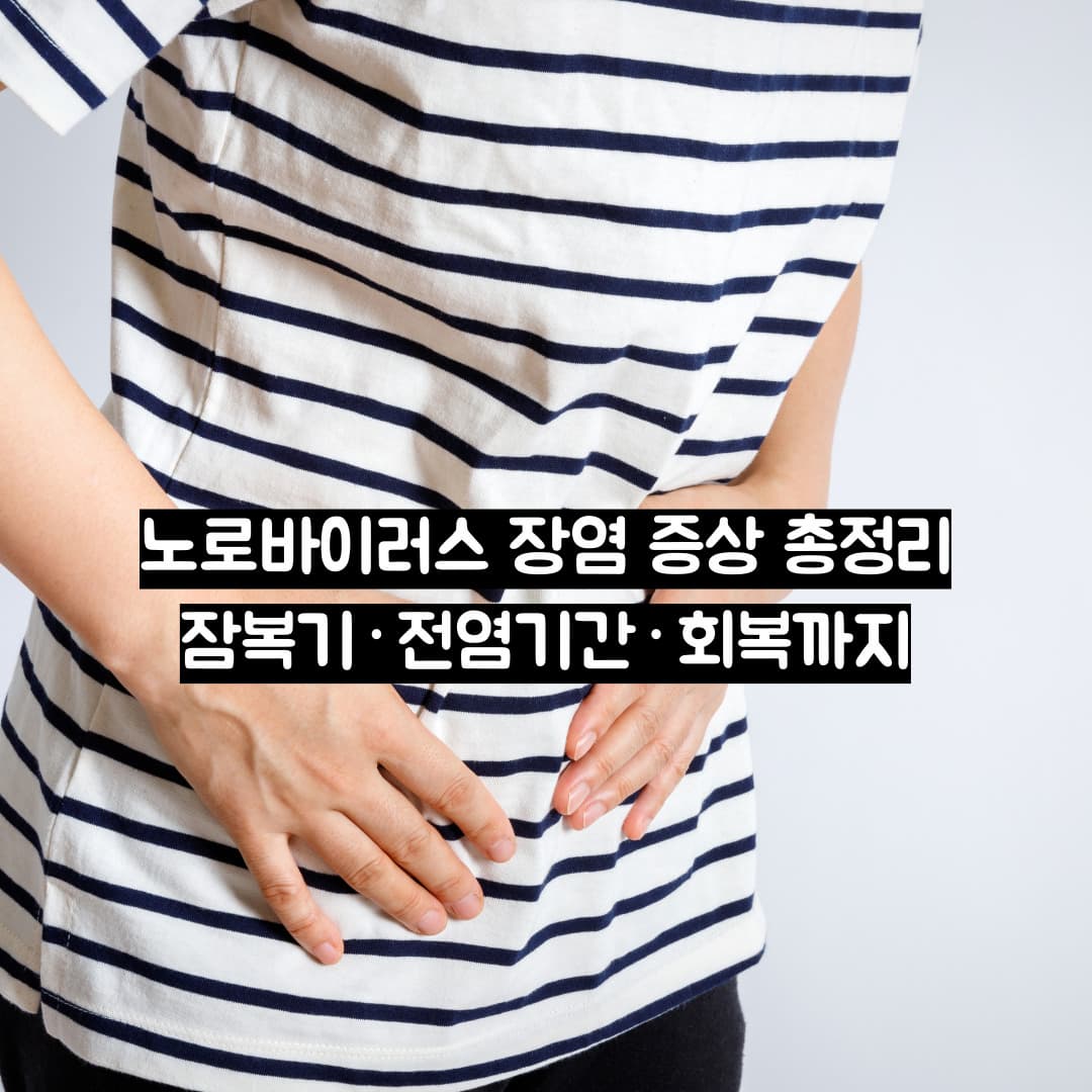 노로바이러스 장염 증상 총정리｜잠복기&middot;전염기간&middot;회복까지