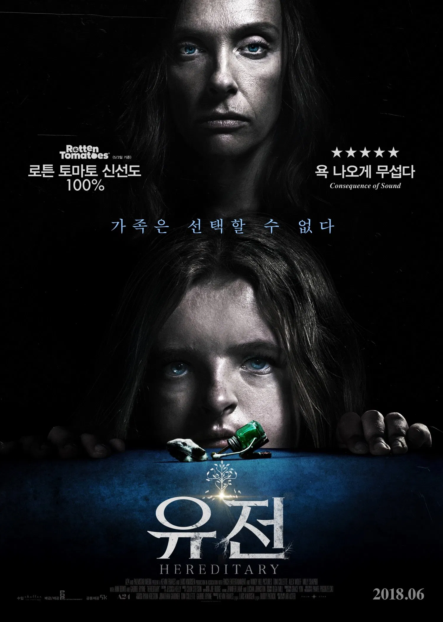 영화 '유전(Hereditary)' 포스터 – 가족의 비극과 숨겨진 오컬트 공포를 그린 심리 스릴러 호러 영화