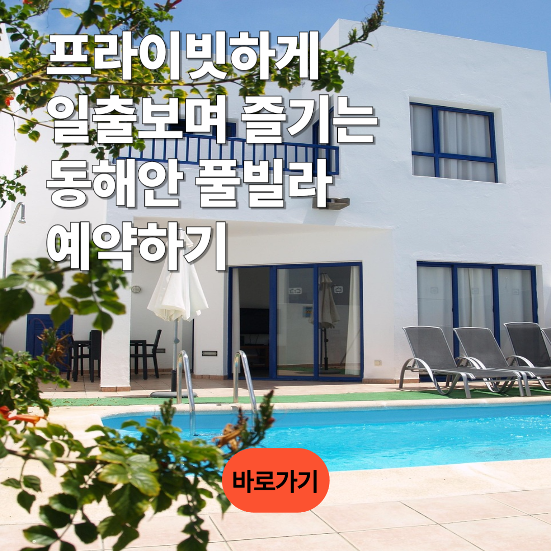 프라이빗하게 일출보며 즐기는 동해안 풀빌라 예약하기