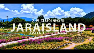가평 자라섬 꽃축제 입장료 가는길 주차 최신정보