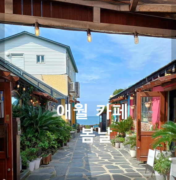 제주-카페-봄날