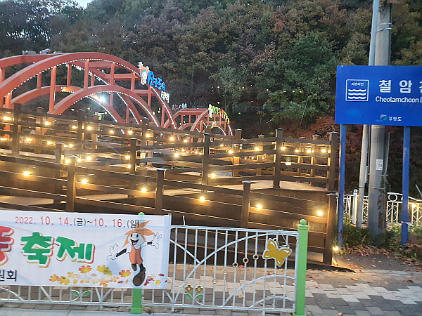 철암동 단풍군락지