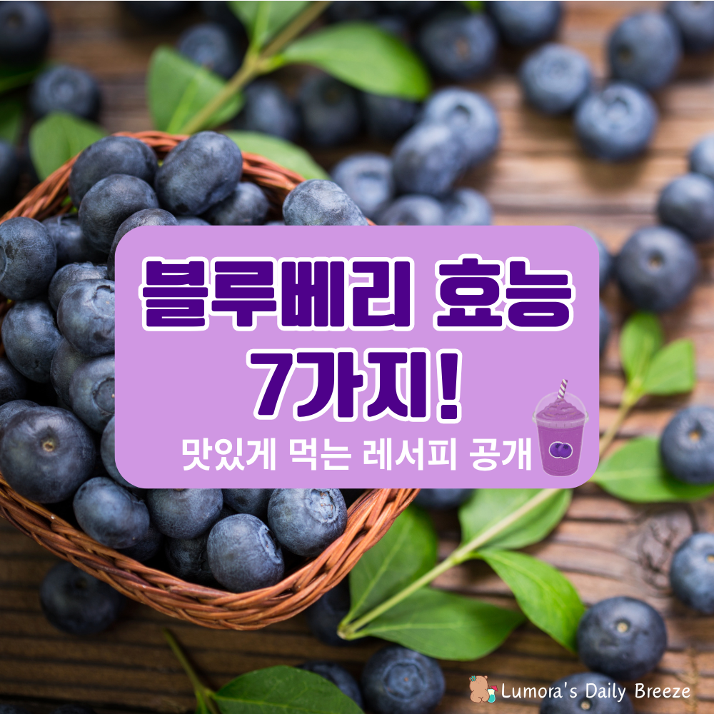 블루베리 효능 7가지 & 맛있게 먹는법