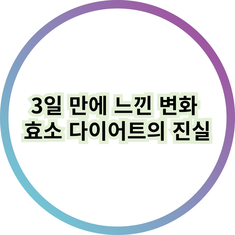 효소 다이어트