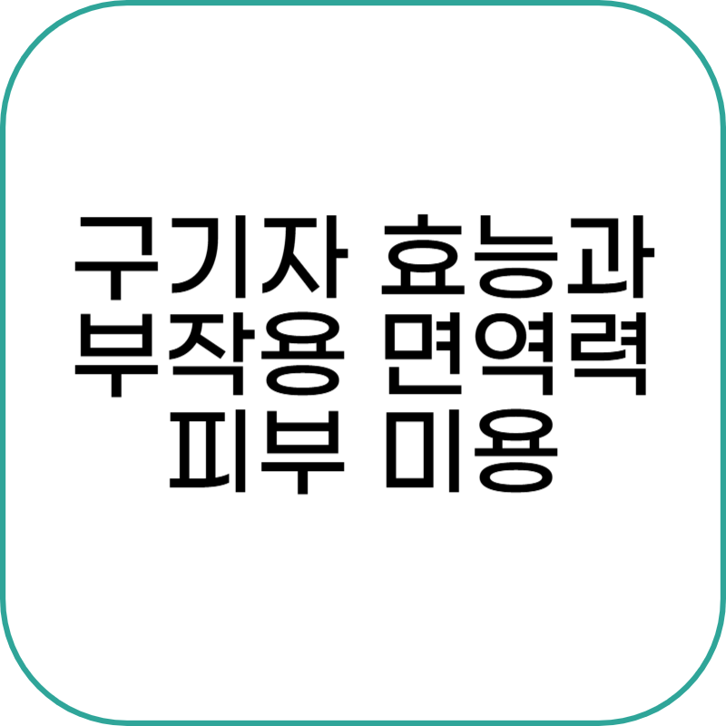 구기자 효능과 부작용 총정리! 면역력부터 피부 미용까지 이점 가득