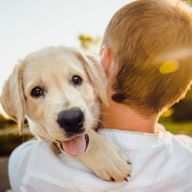 사람에게 안겨 웃고 있는 강아지