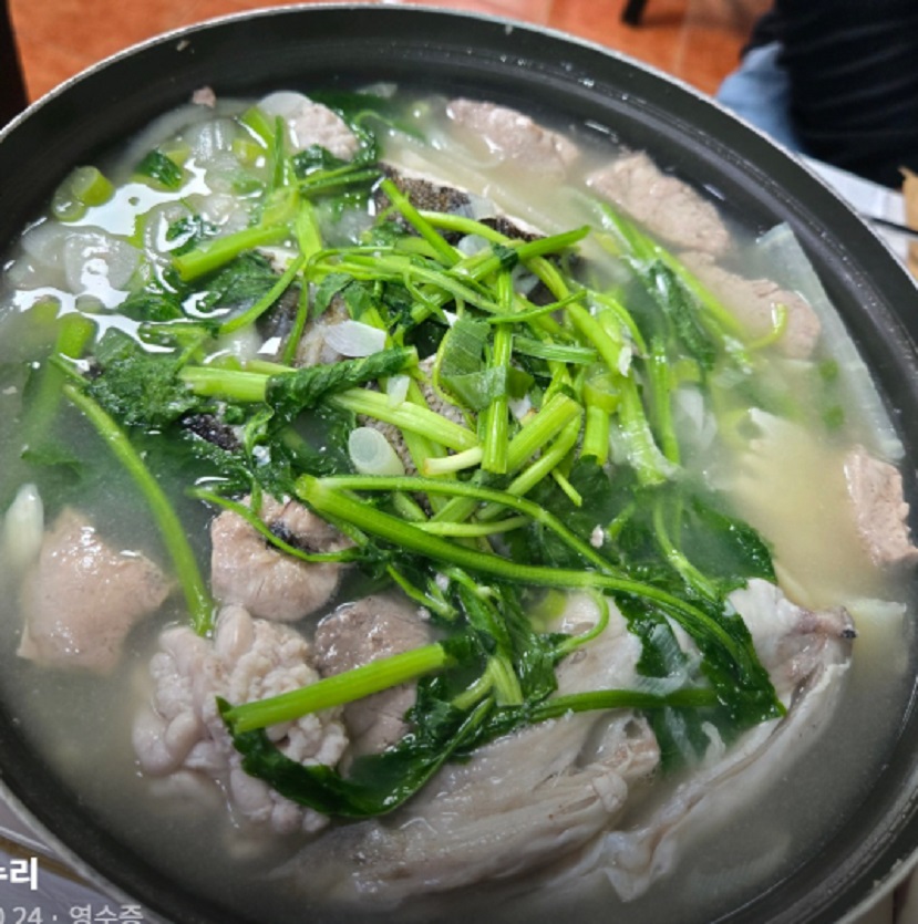 한국기행-고성-물곰-왔드래요-곰치-물곰탕-강동호식당