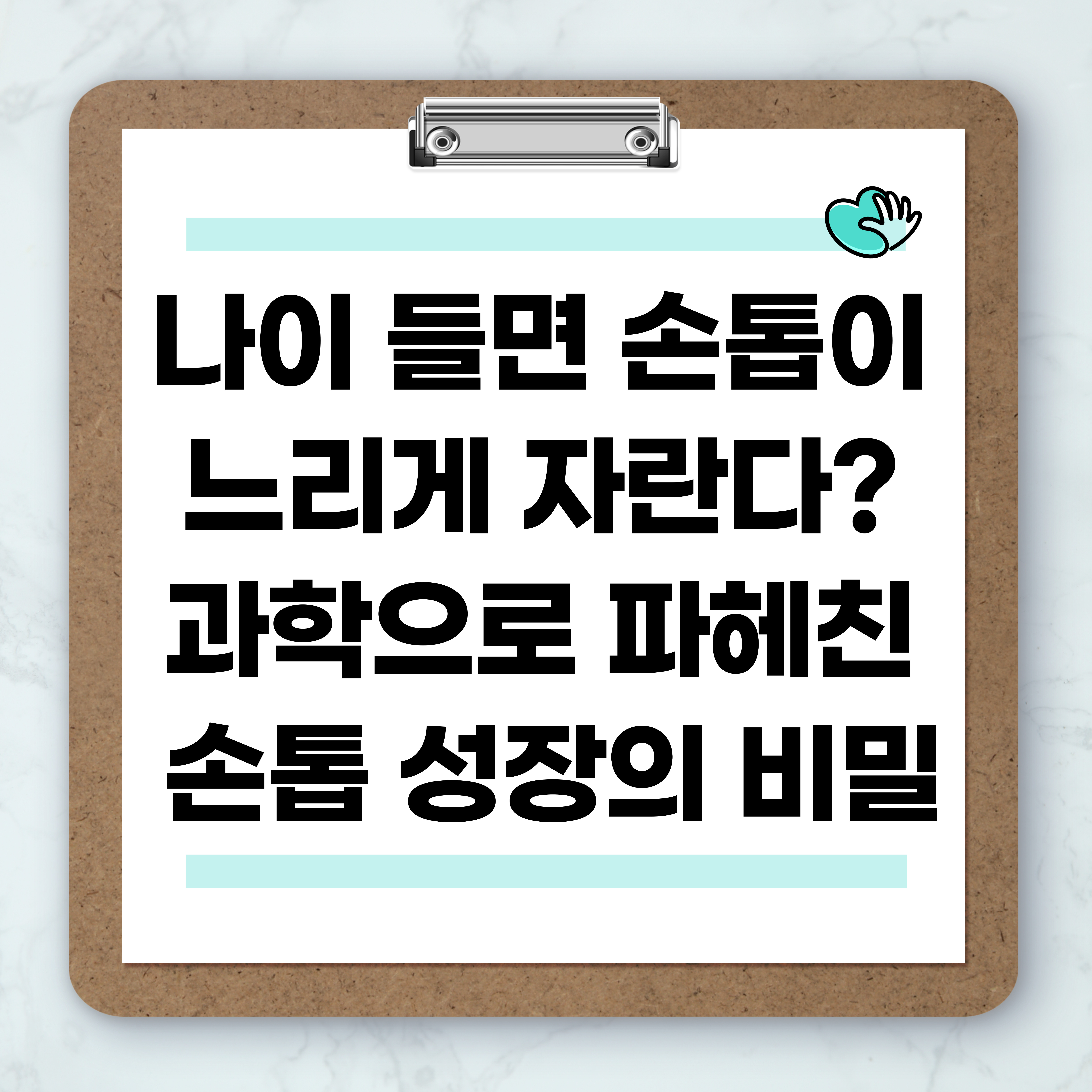 손톱성장의 비밀