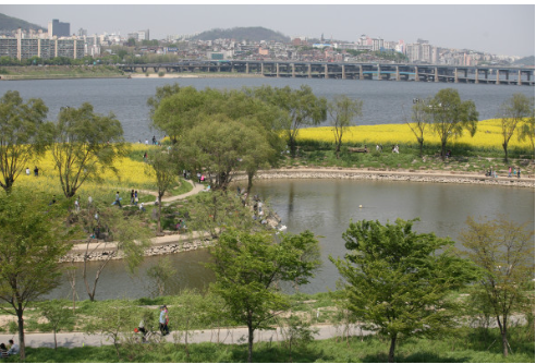 한강페스티벌 반포한강공원