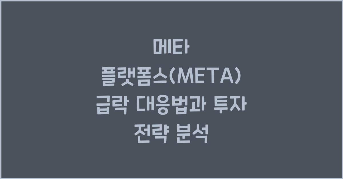 메타 플랫폼스(META) 급락 대응법