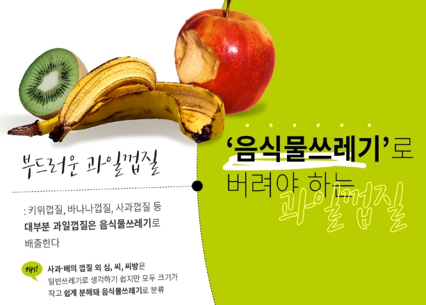 귤 껍질은 음식물 쓰레기, 파인애플 껍질은 일반 쓰레기로 분류되는 모습