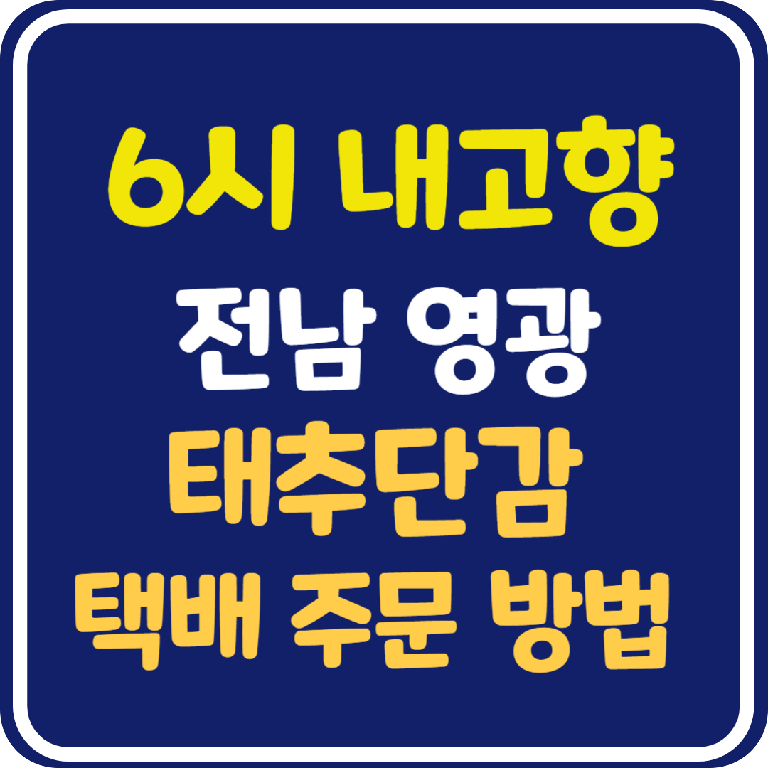 6시 내고향 전남 영광 태추단감 택배 주문방법
