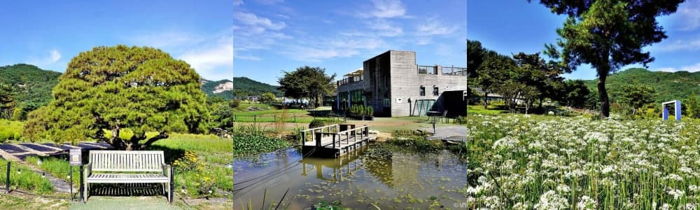 생생정보통 오늘방송(3월 24일) 남양주 산들소리,어린이비전센터사계절썰매장,솥뚜껑닭볶음탕남양주본점,능내역