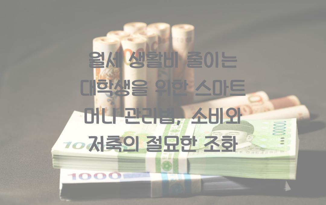 월세 생활비 줄이는 대학생을 위한 스마트 머니 관리법