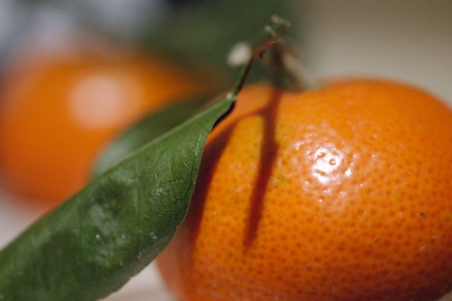 집에서 귤 샤인머스캣 탕후루 만드는 법