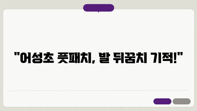 어성초 풋패치의 추가적인 정보
