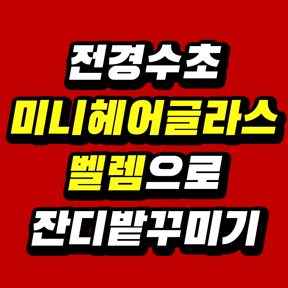 전경수초 미니헤어글라스 벨렘