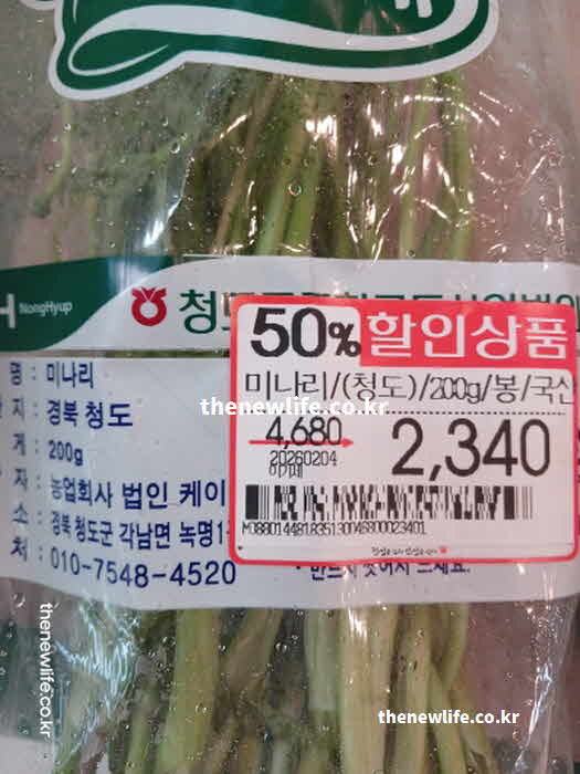 미나리 효능 요리법 생 식초물