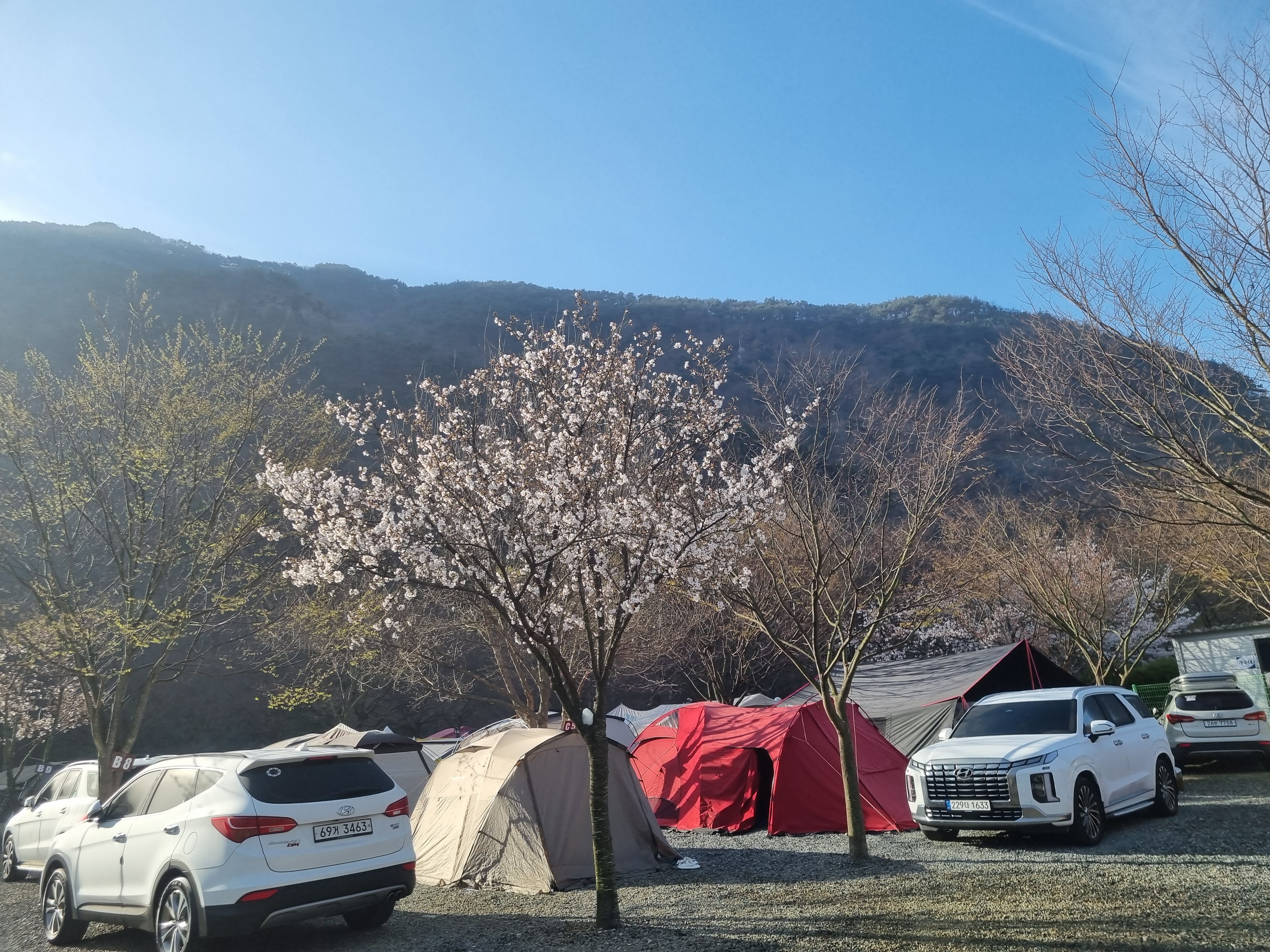 밀양 산여울캠핑장