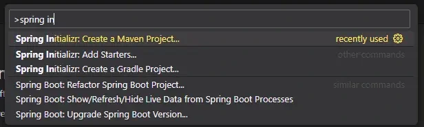 Command Palette에서 Spring initializer 검색