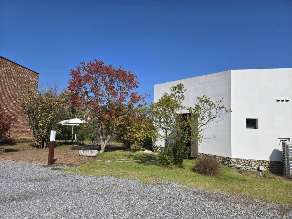 가평 나무아래오후