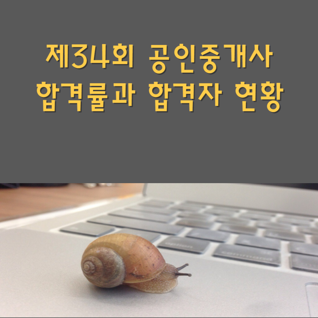 34회 공인중개사 합격자 현황
