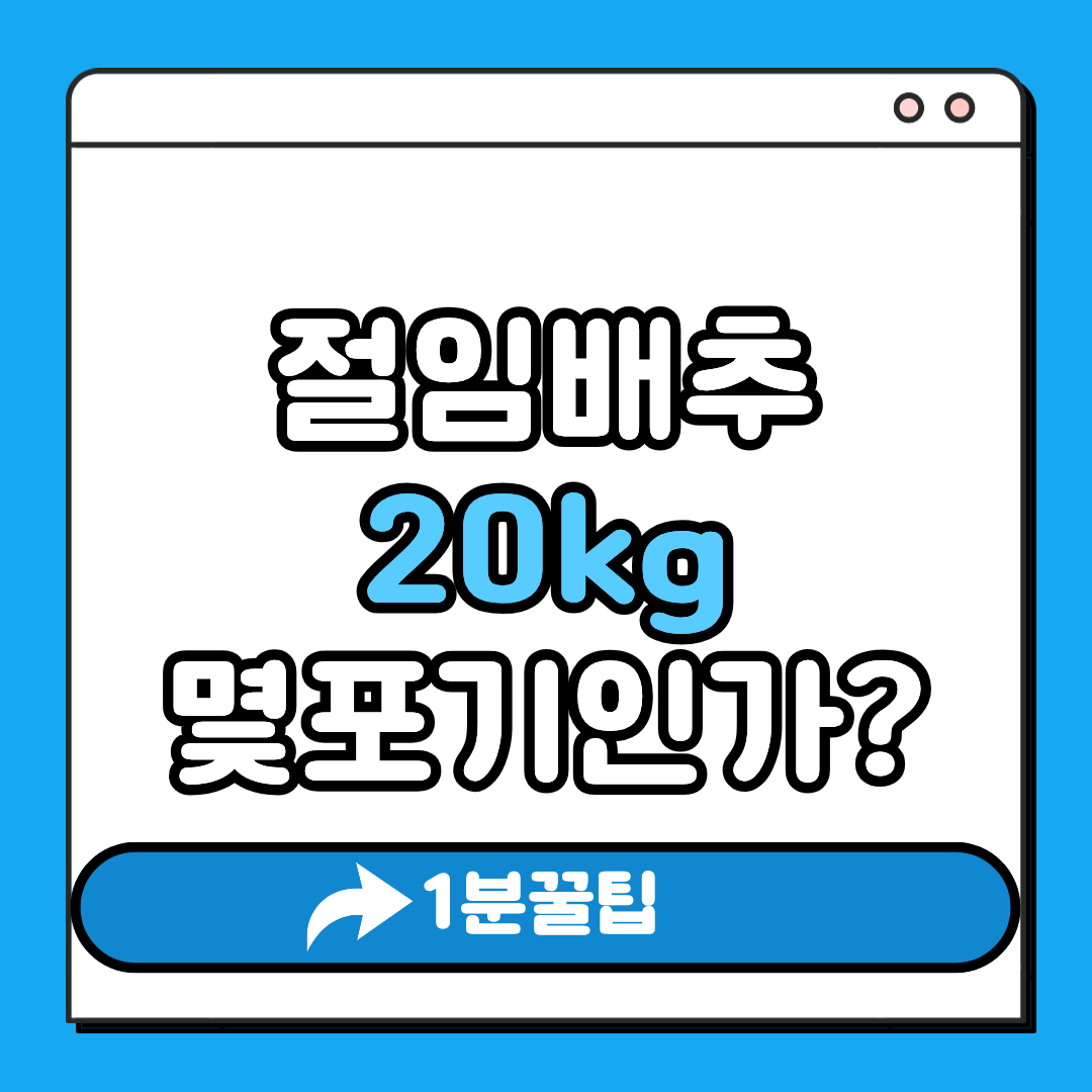 절임배추 20kg 몇포기