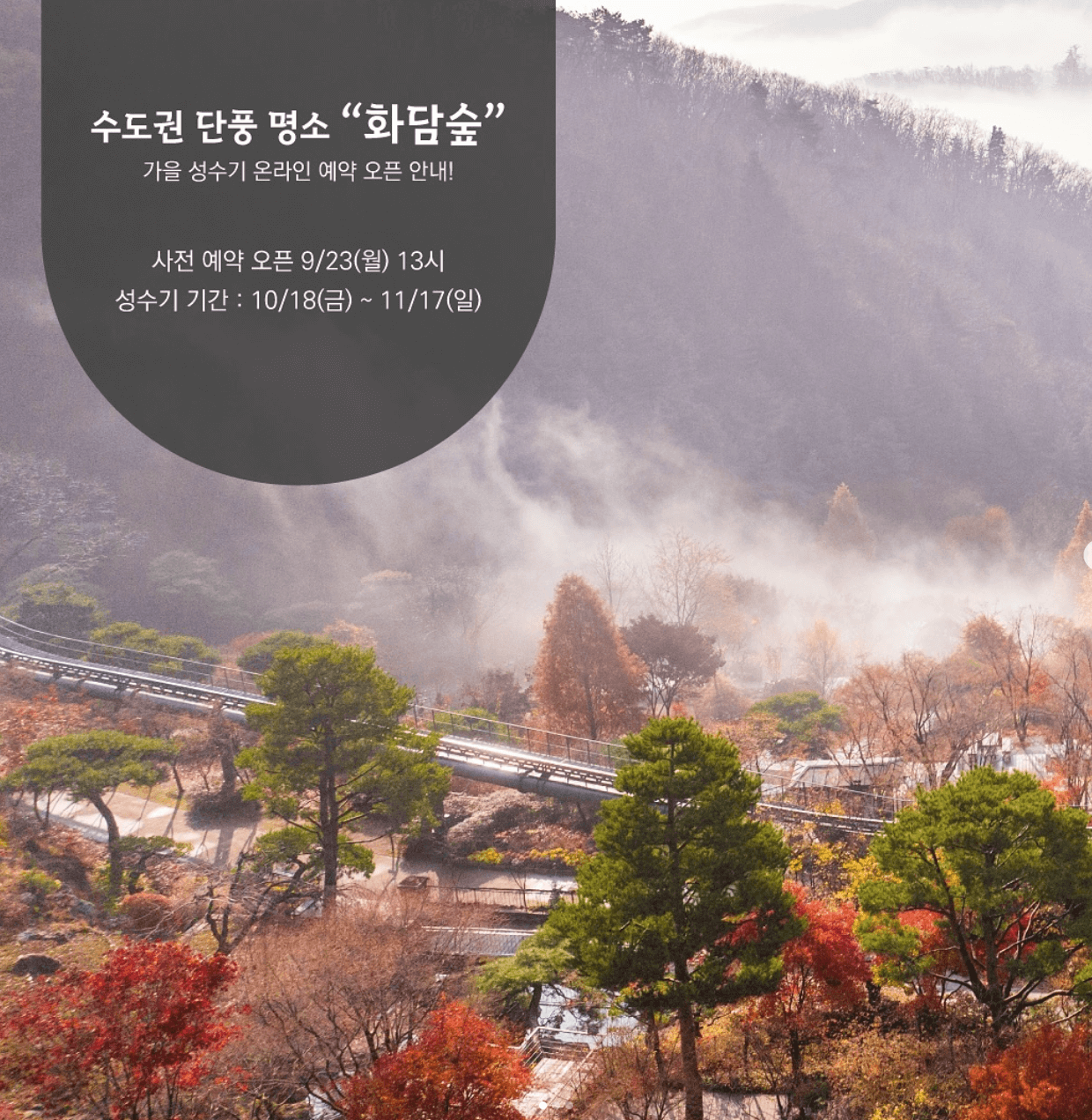 화담숲 단풍시기