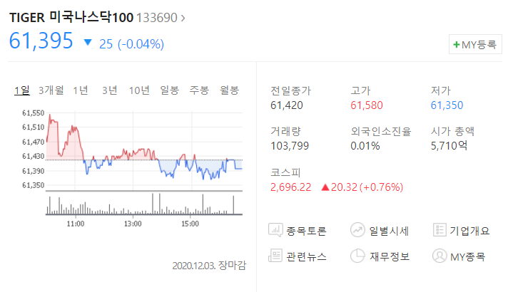 Tiger 미국나스닥100