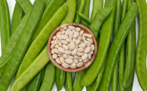 당뇨 초기 증상, 당뇨에 좋은음식