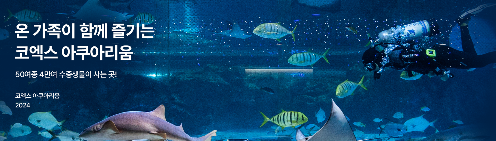 코엑스 아쿠아리움