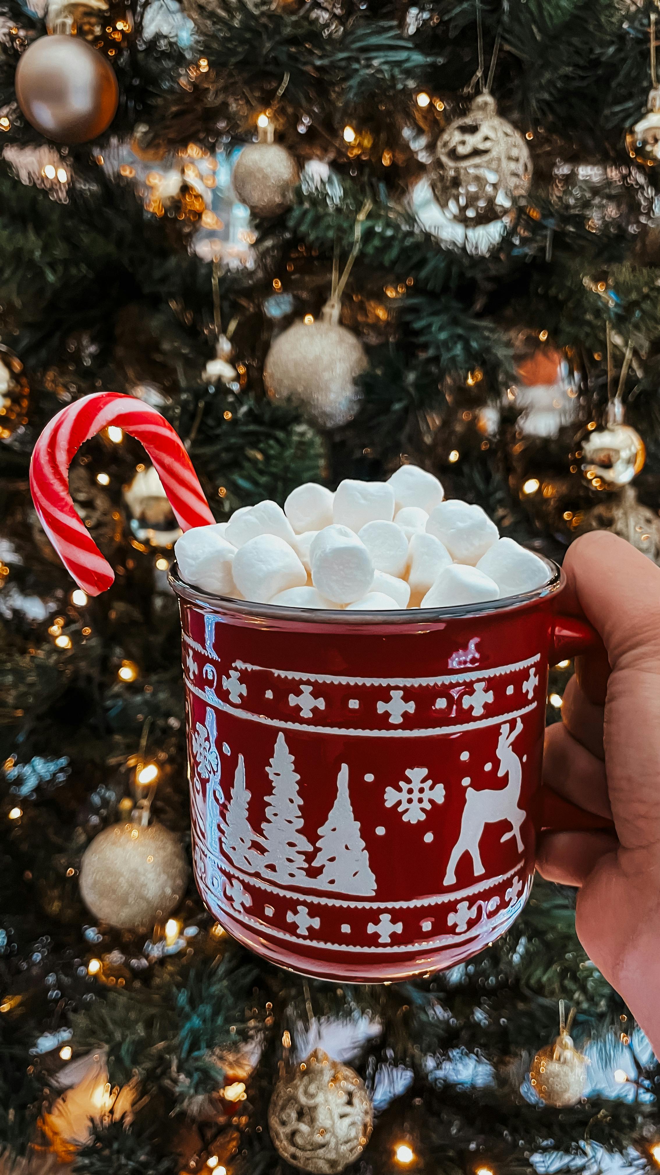 로맨틱 한강 크리스마스 마켓