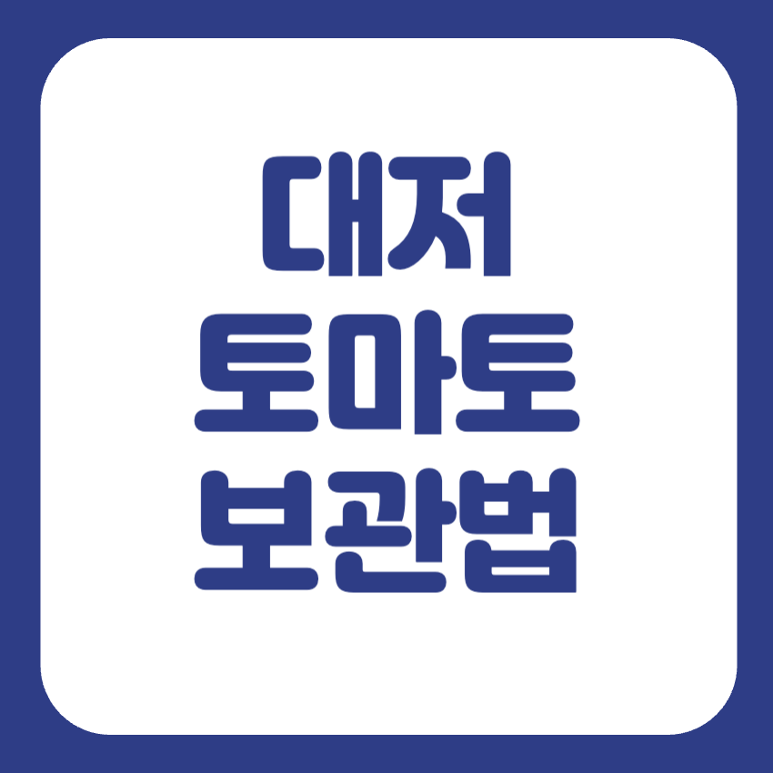 대저토마토 보관법