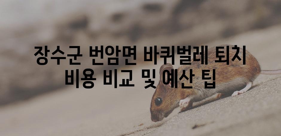 장수군 번암면 바퀴벌레 퇴치 비용 비교 및 예산 팁